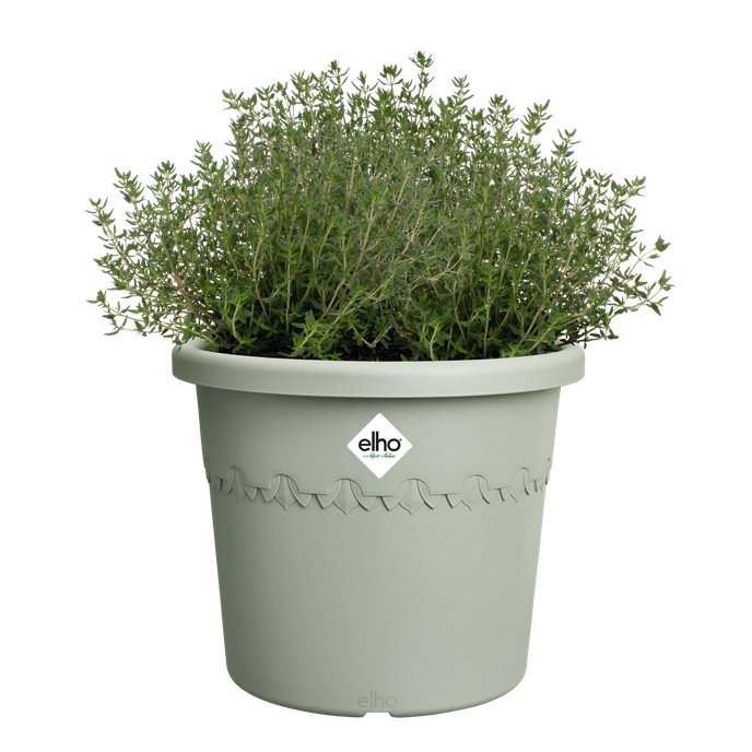 algarve cilindro 25cm thyme green